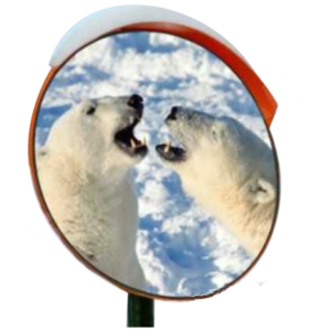 Зеркало дорожное с устройством электрообогрева d-900 мм с козырьком круглое