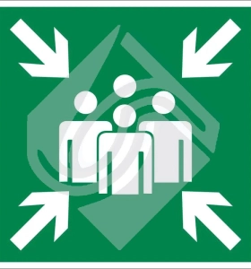 Пункт (место) сбора