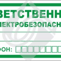 Ответственный за электробезопасность